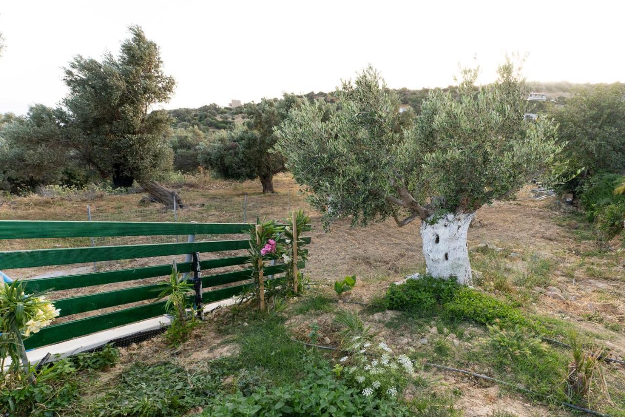 Galini House Villa Triopetra Bagian luar foto