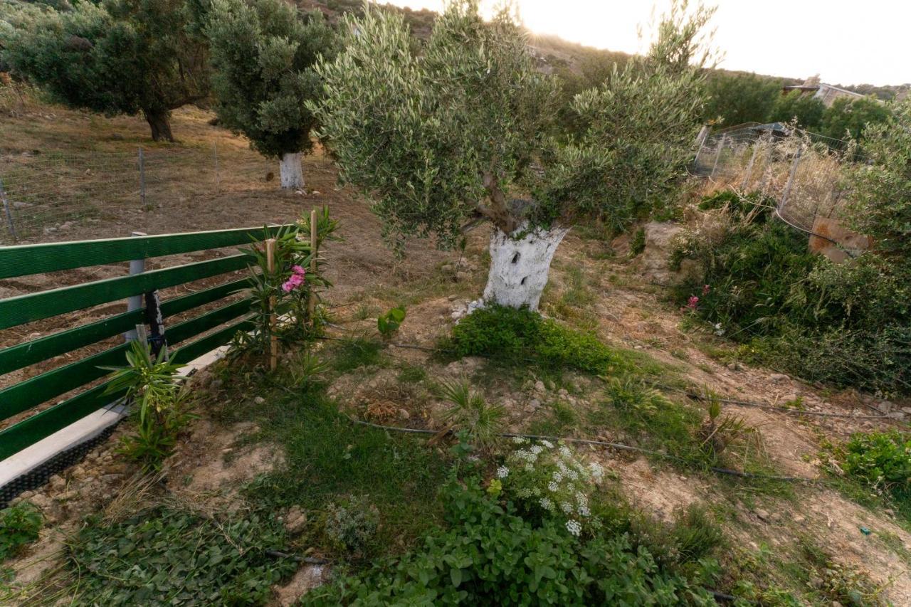 Galini House Villa Triopetra Bagian luar foto